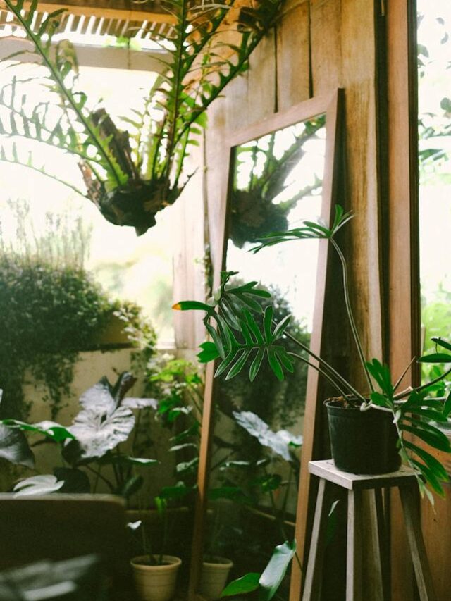 The 7 Best Indoor Gardens Of 2024, Tested And Reviewed